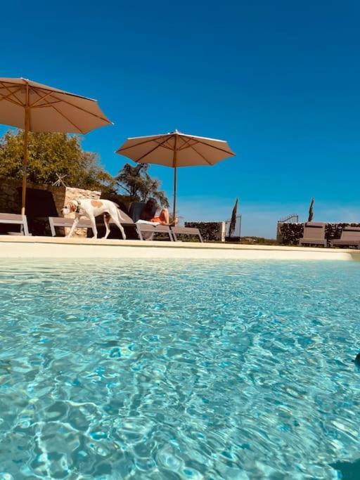 Dome Insolite Cedre Jacuzzi Et Petits Dejeuners Inclus Lagraulet-du-Gers Exterior foto